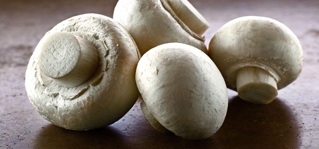 white_mushrooms
