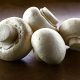 white_mushrooms